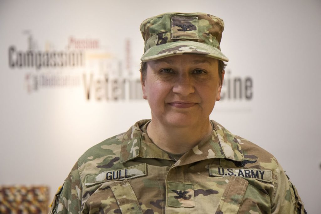 CVM’s Col. Gull Works to Improve Army Equine Standards During Deployment