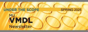 under the scope spring 2025 graphic
