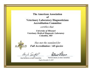 certificate screenshot