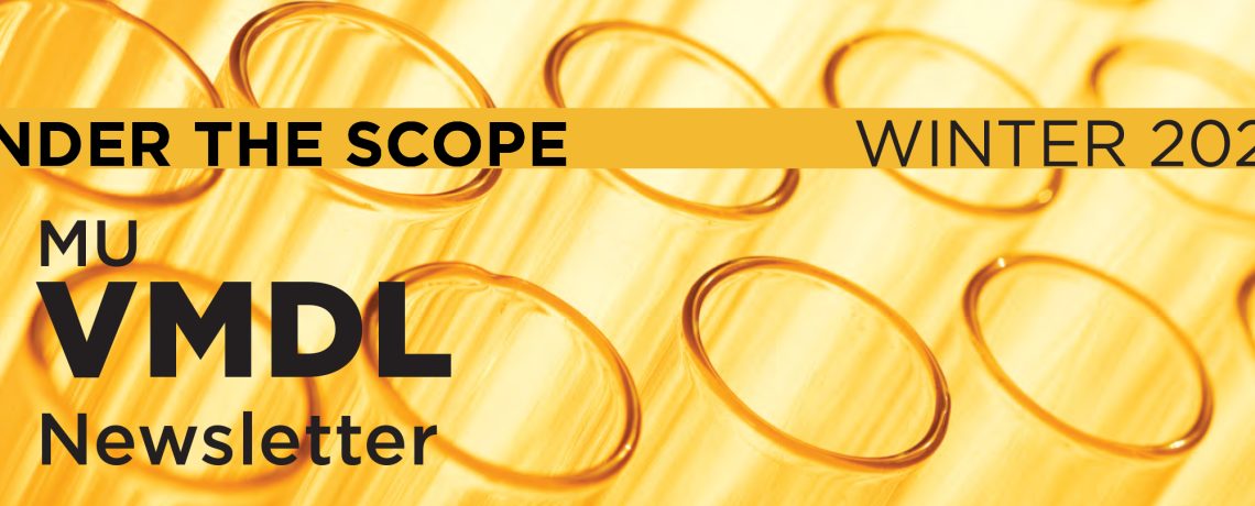 Under the ‘Scope – Winter 2026