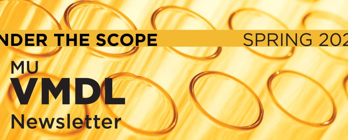 Under the ‘Scope Spring 2026