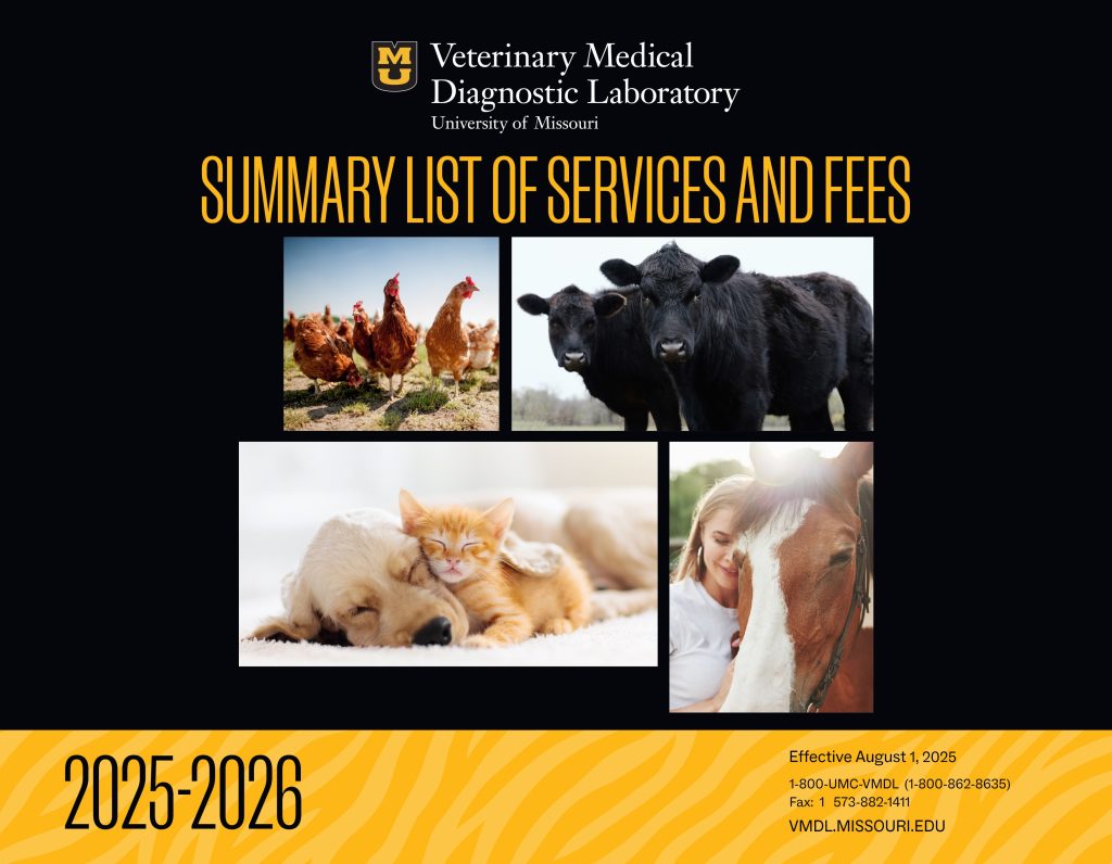 VMDL fee guide cover thumbnail