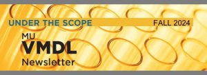 under the scope fall 2024 graphic