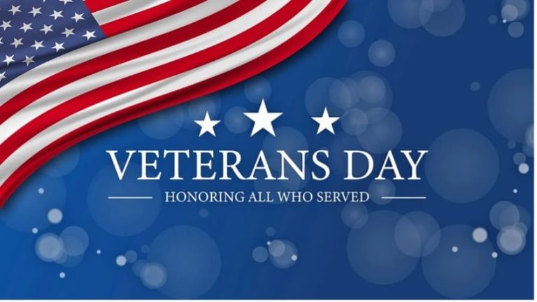 veterans day honoring those who served graphic