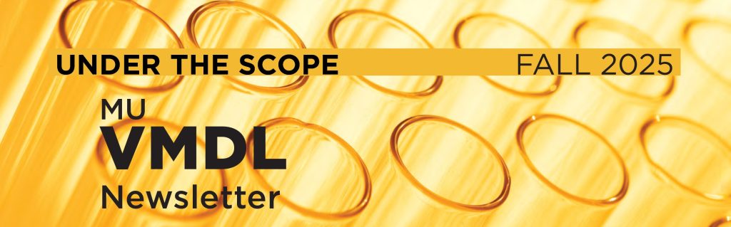 under the scope fall 2025 graphic