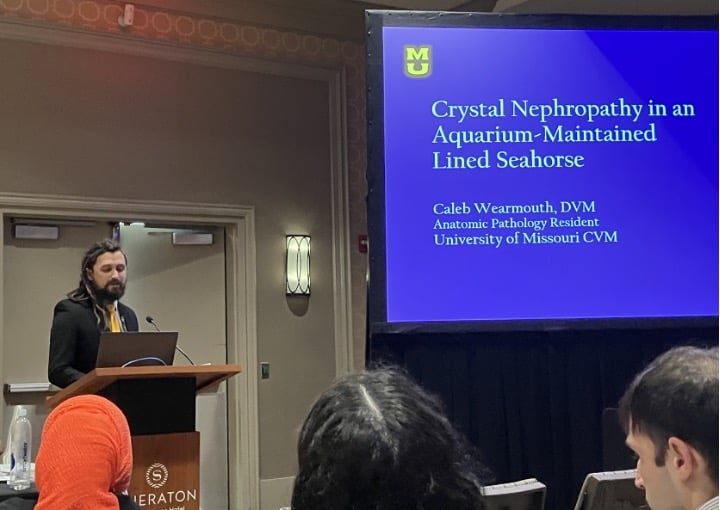 a man presents at a conference