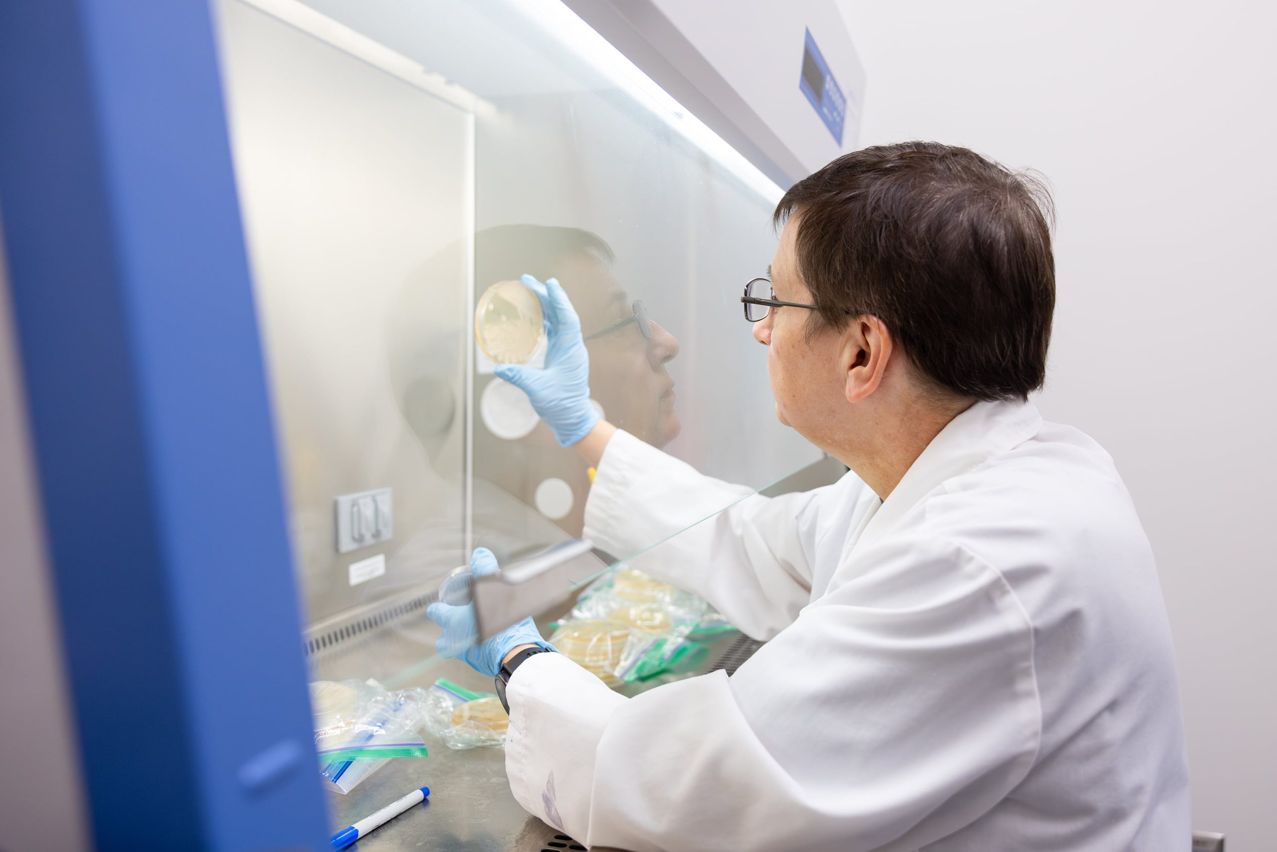 Dr. Gull in the lab