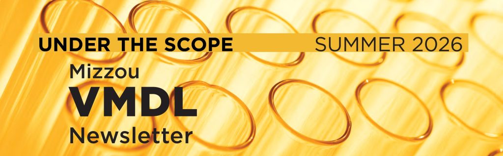 vmdl newsletter summer 2026 header