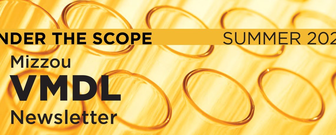 Under the ‘Scope Summer 2026