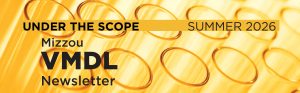 under the scope summer 2026 email header